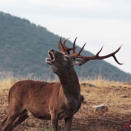 Alojamiento Rural Dehesa La Estancia อันดูคาร์ ภายนอก รูปภาพ