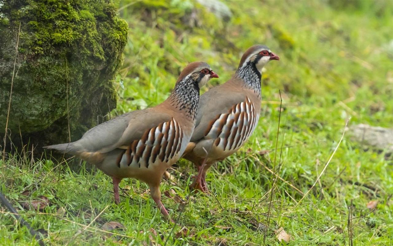 Alojamiento Rural Dehesa La Estancia อันดูคาร์ ภายนอก รูปภาพ