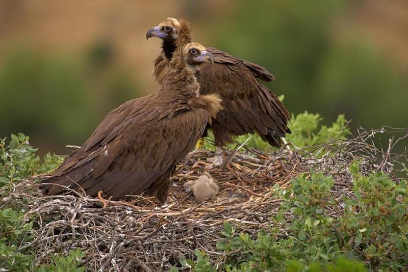 Alojamiento Rural Dehesa La Estancia อันดูคาร์ ภายนอก รูปภาพ