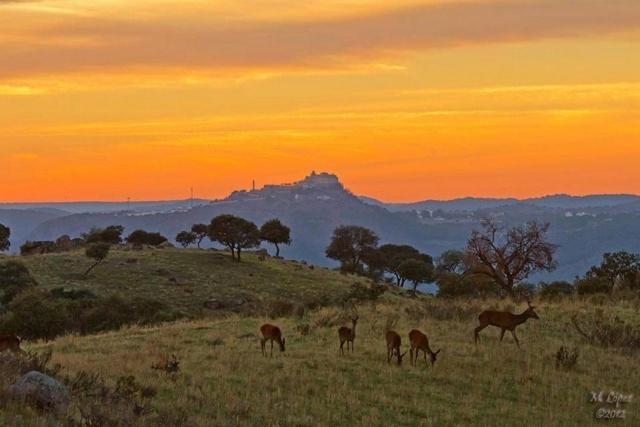 Alojamiento Rural Dehesa La Estancia อันดูคาร์ ภายนอก รูปภาพ