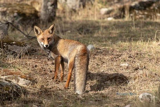 Alojamiento Rural Dehesa La Estancia อันดูคาร์ ภายนอก รูปภาพ